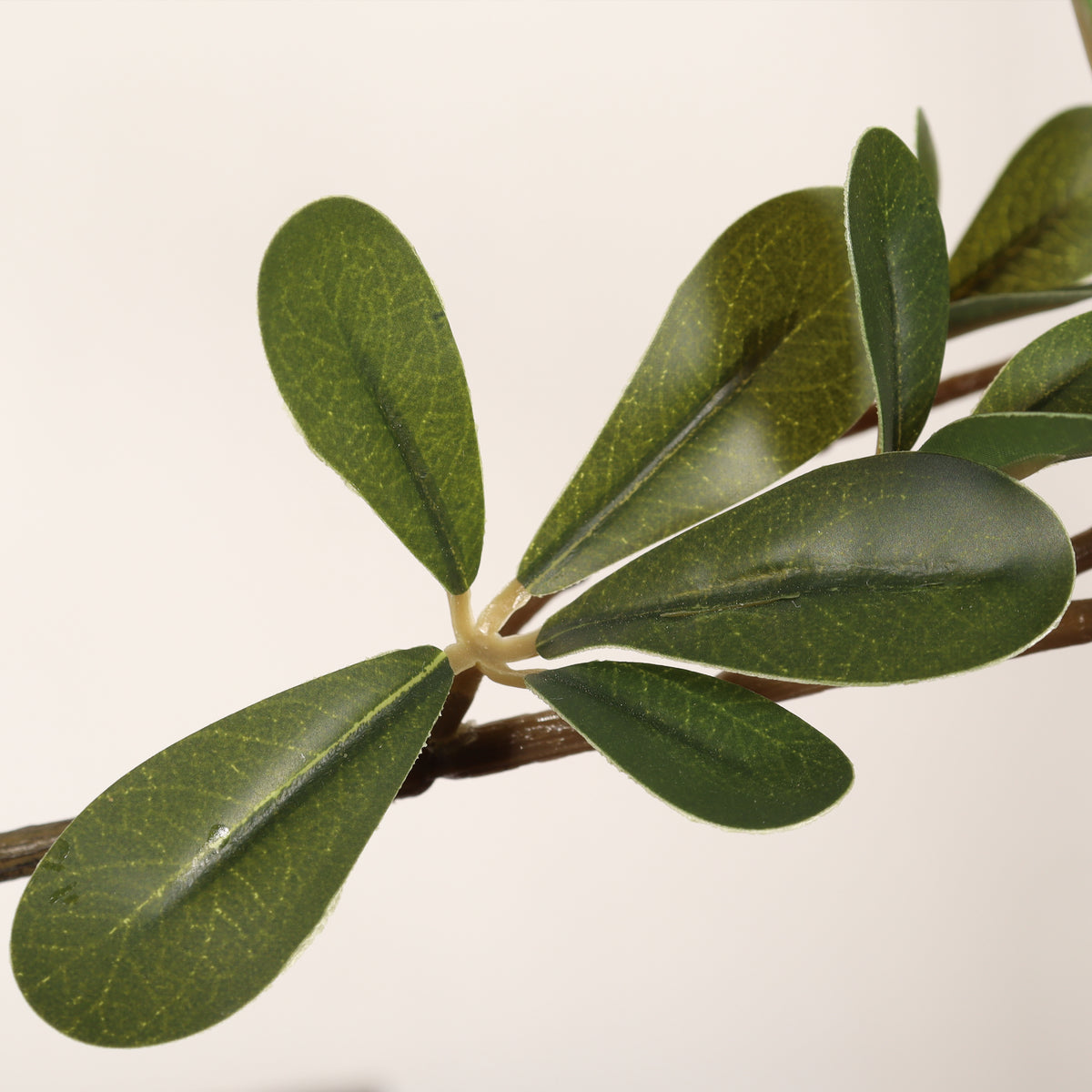 Close-up of a branch with green leaves on a light background